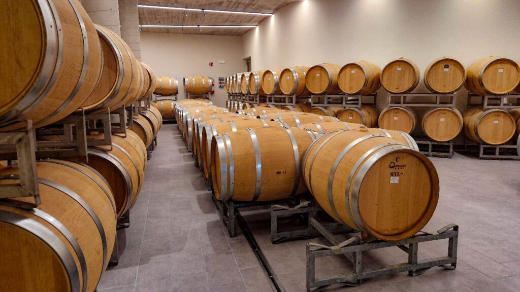 botti in cantina