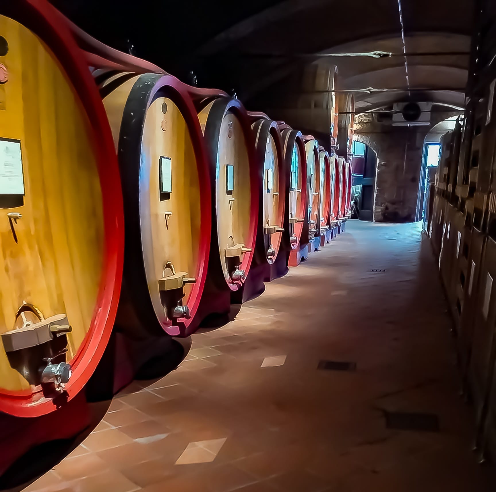degustazione langhe